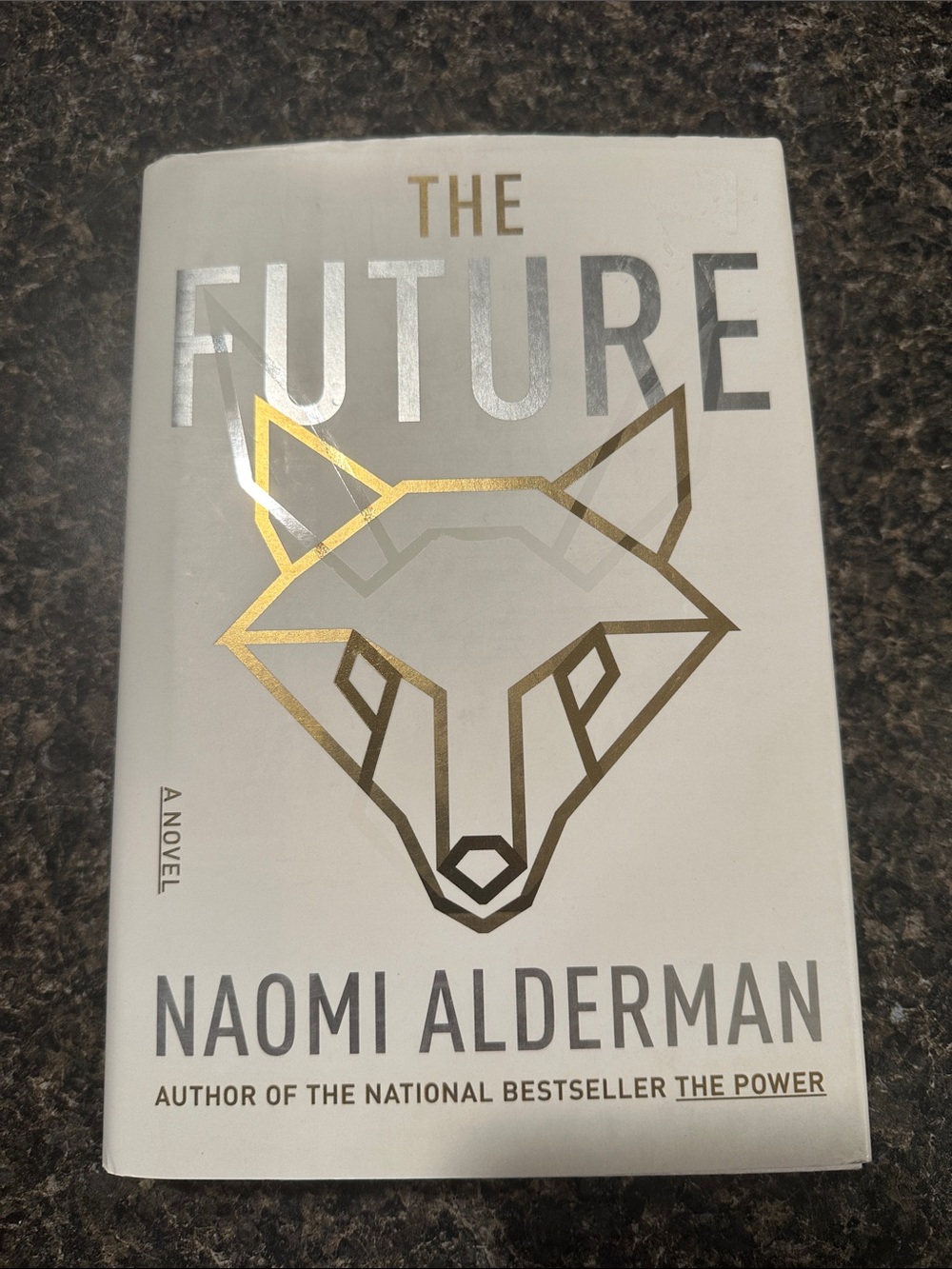 Future by Naomi Alderman